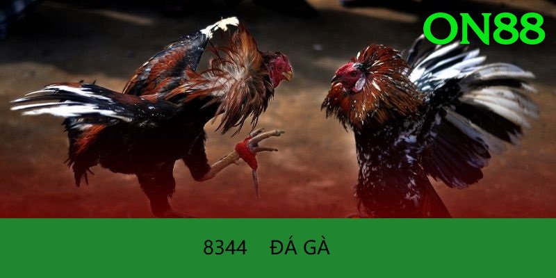 Đá Gà Trực Tiếp - on88 - Mượt mà